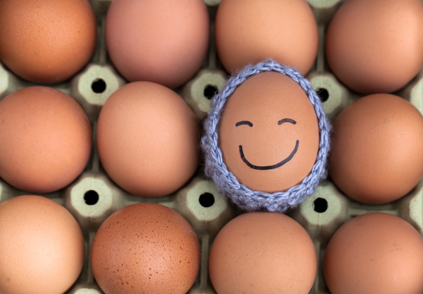 Carton of eggs with one in a knit holder with a smiley face
